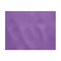 Set de table 30x40cm uni Amethyste (aubergine)
